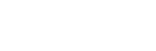 Net 9